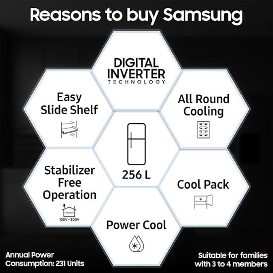 Samsung 256L 3 స్టార్ డిజిటల్ ఇన్వర్టర్ ఫ్రాస్ట్-ఫ్రీ డబుల్ డోర్ రిఫ్రిజిరేటర్ ఉపకరణం (RT30C3433S9/HL, రిఫైన్డ్ ఐనాక్స్) యొక్క చిత్రం