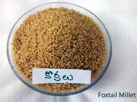 కొర్రలు 500g యొక్క చిత్రం