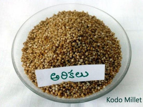 అరికెలు (కోడో మిల్లెట్)-500g యొక్క చిత్రం